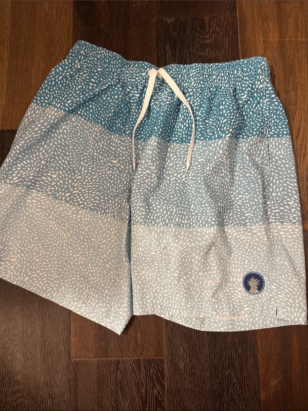 Chubbies swim trunks 7inch